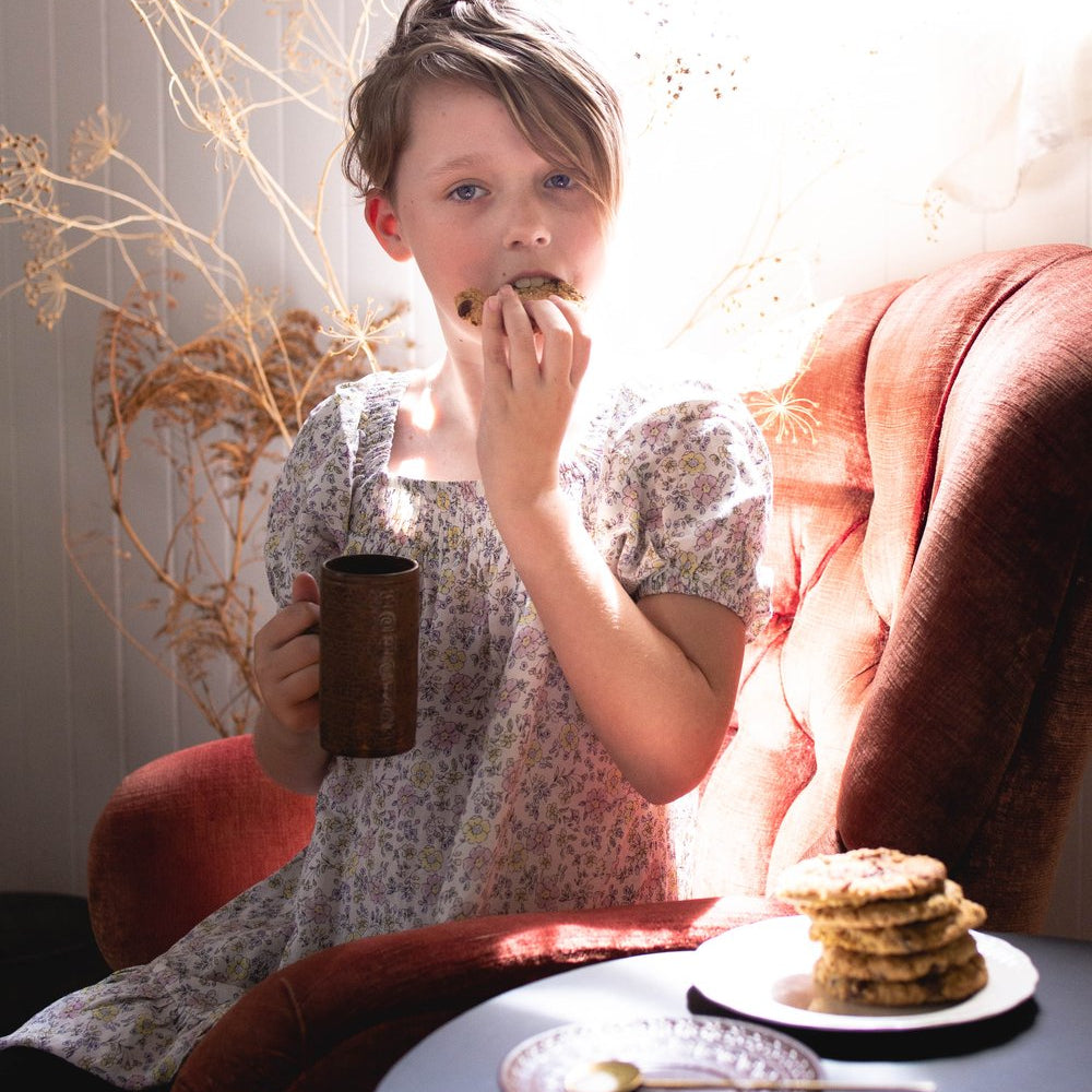 Story Book Cakes -Chocolate Chip Cookie Mix 300g