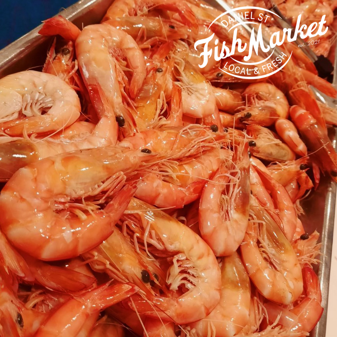Daniel St Fish Market -XL Cooked QLD King Prawn Box (Frozen) - 5Kg