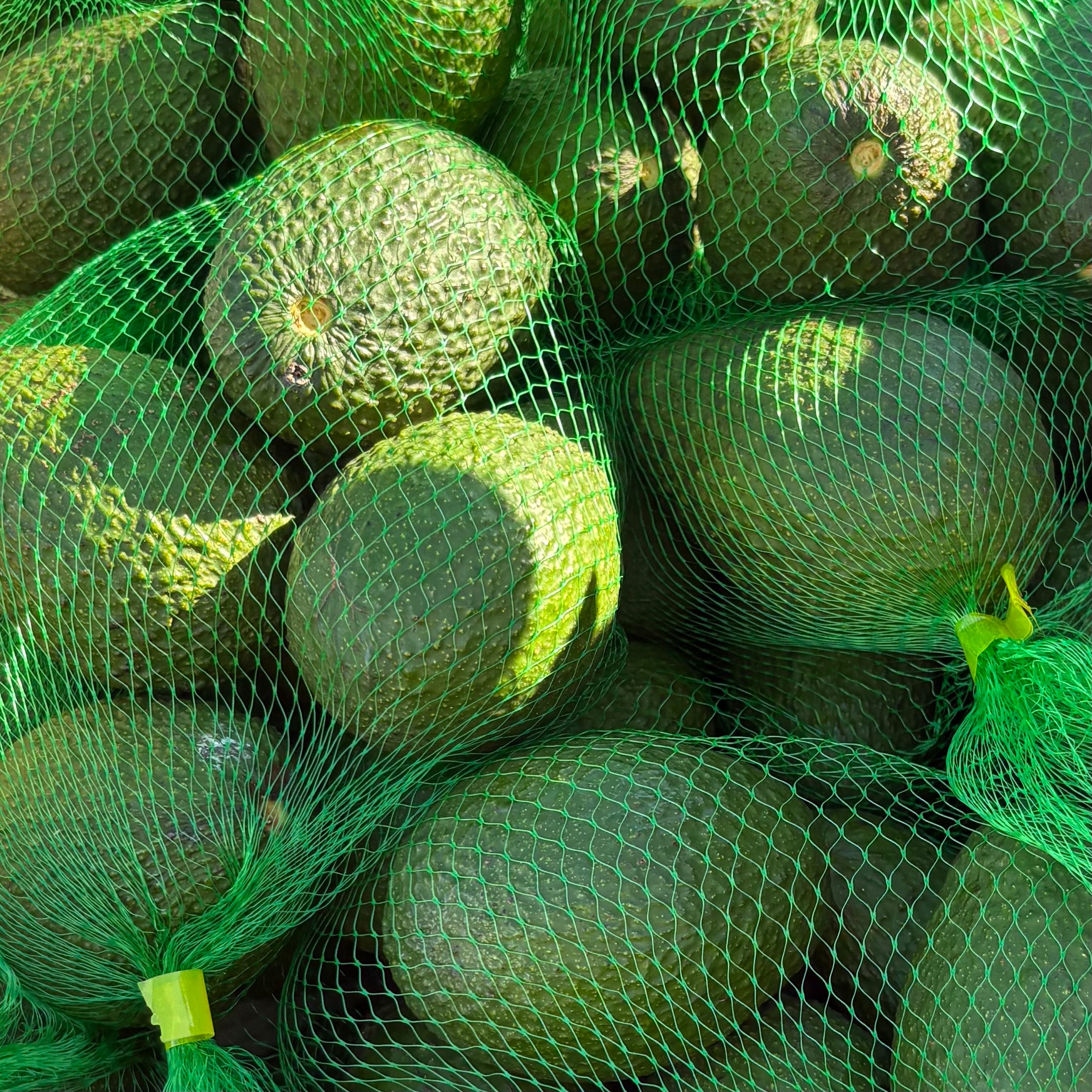 Avocados Organic 1kg bag