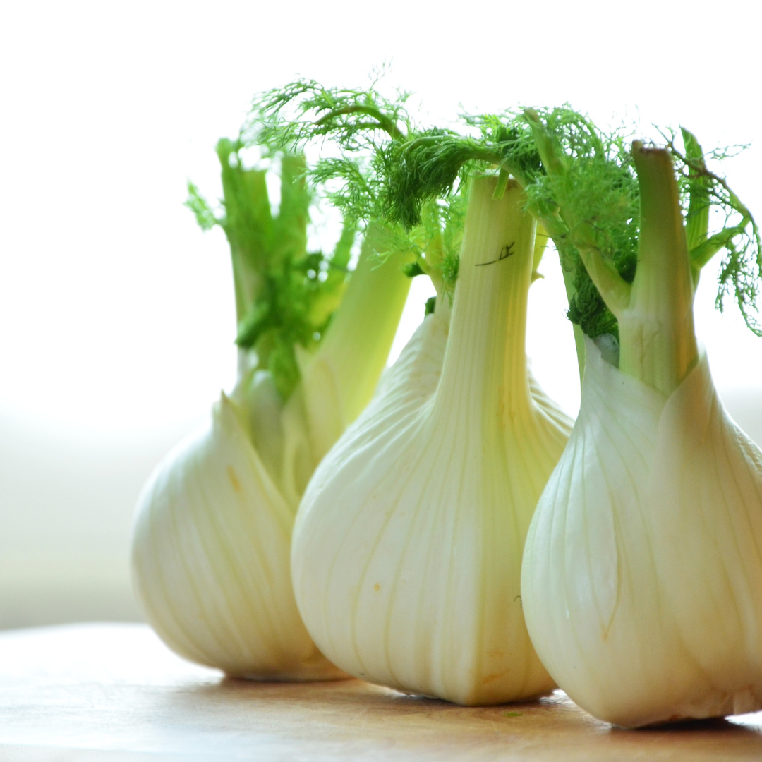 Fennel - Bulb