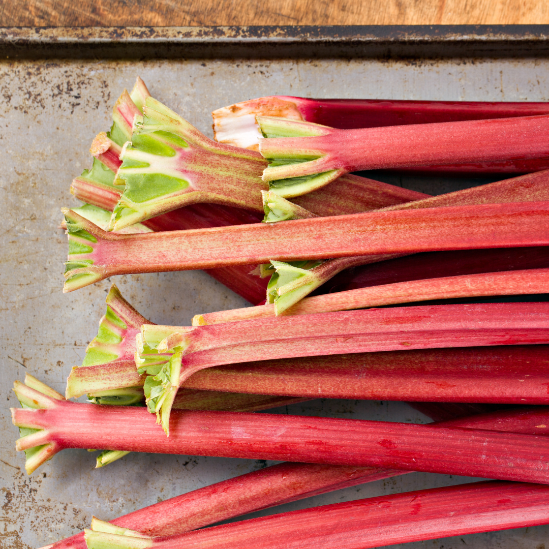 Rhubarb