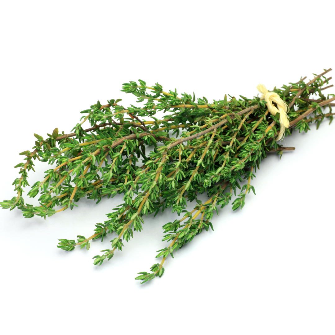 Thyme Bunch