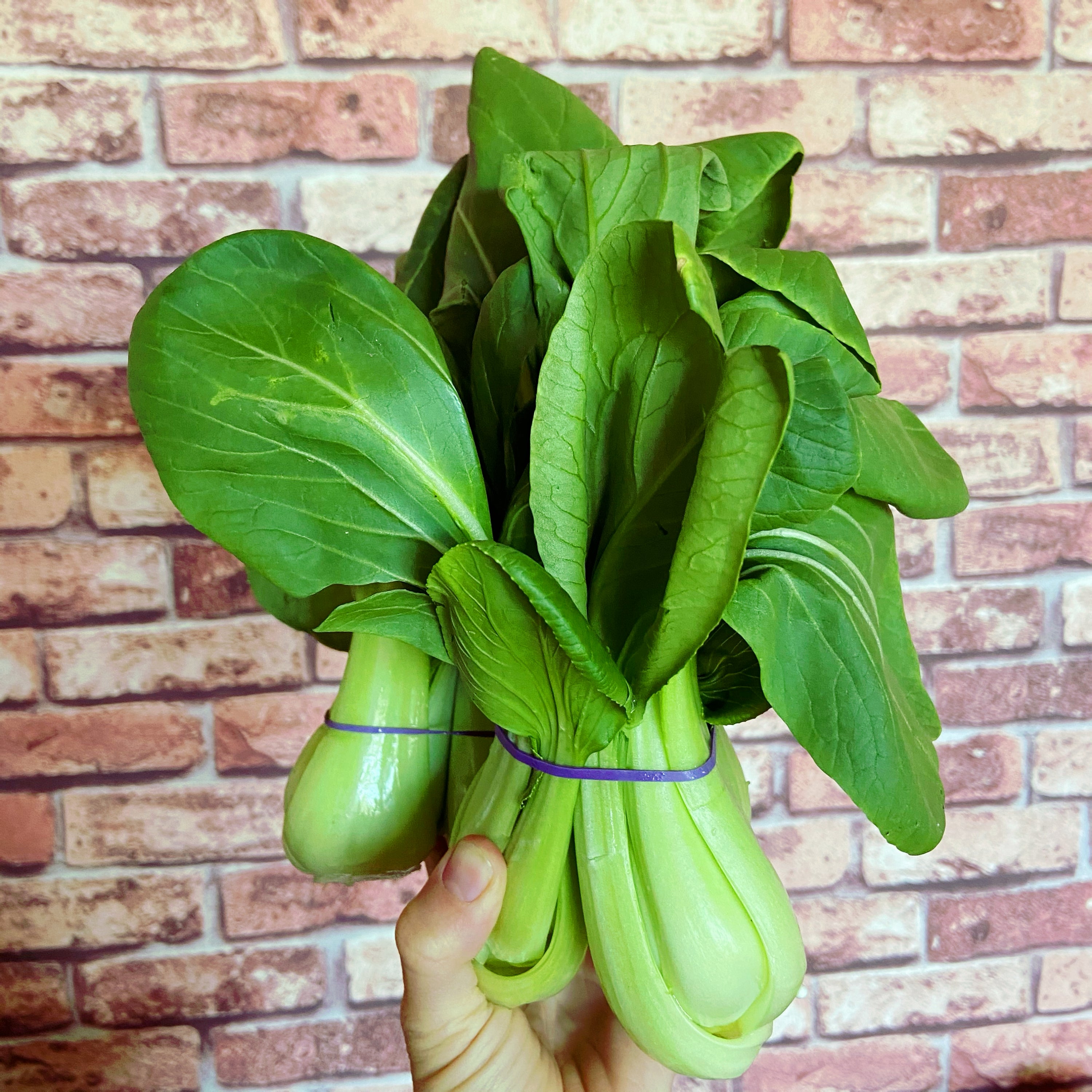 Pak Choi