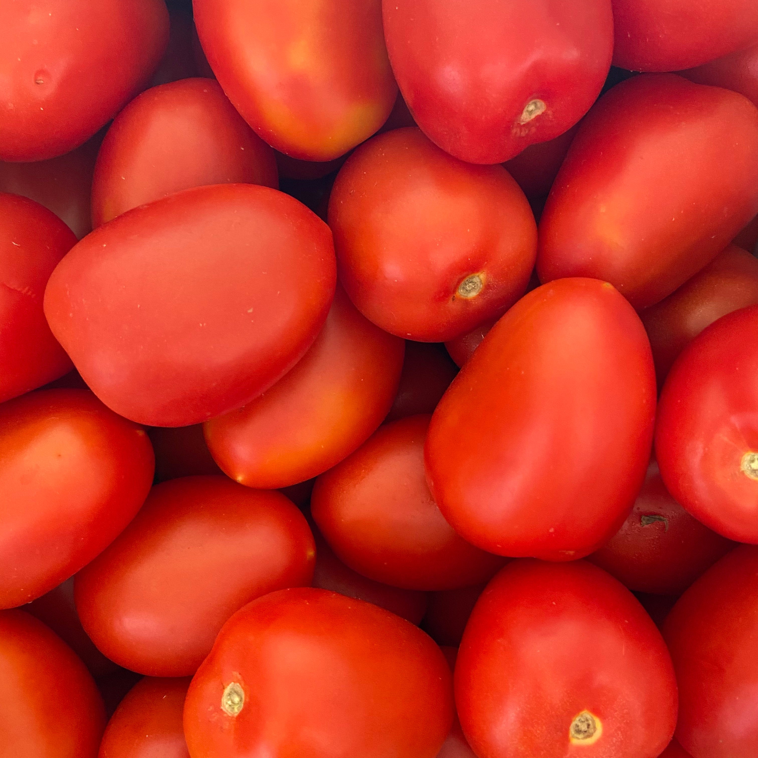 Roma Tomatoes - Each