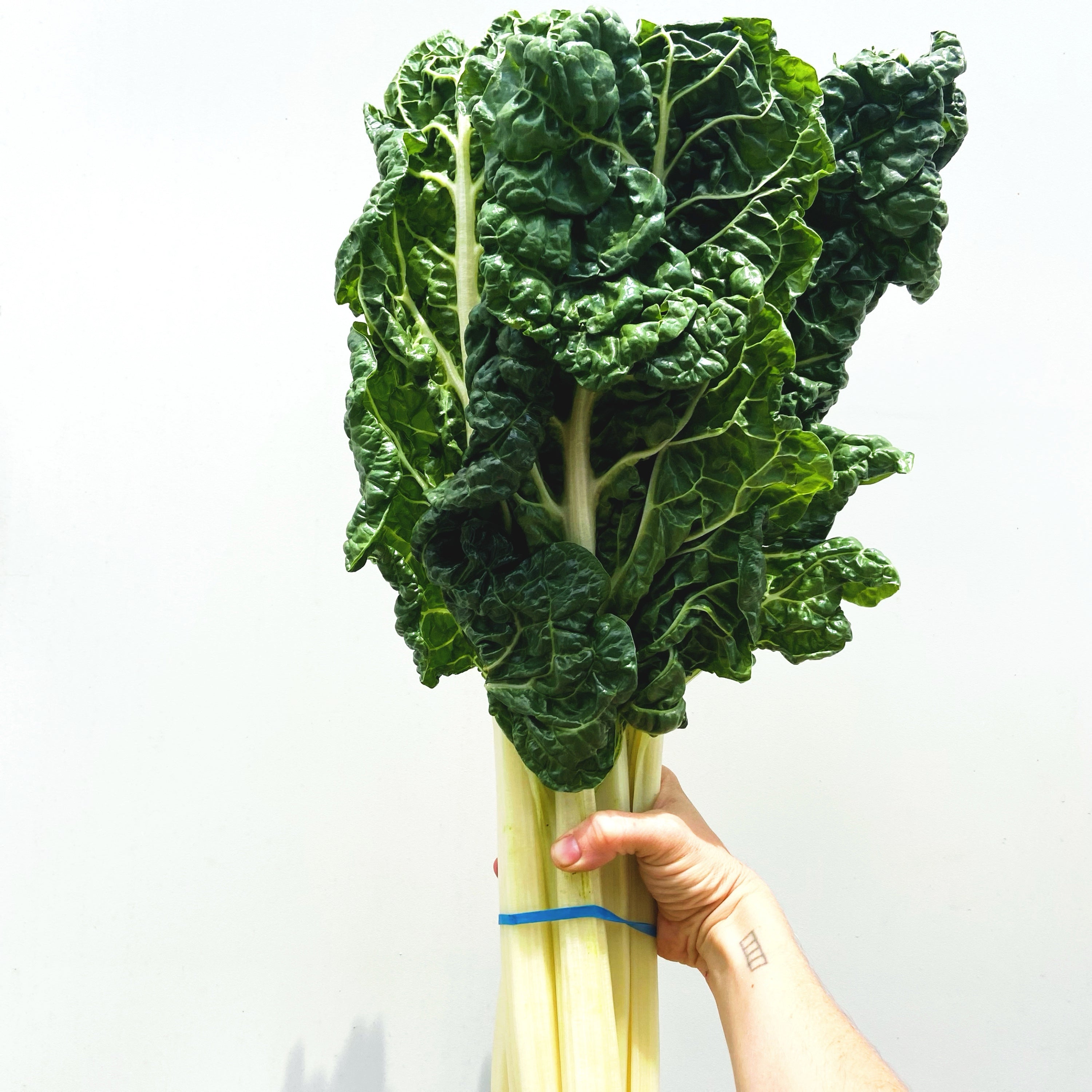 Silverbeet - Each
