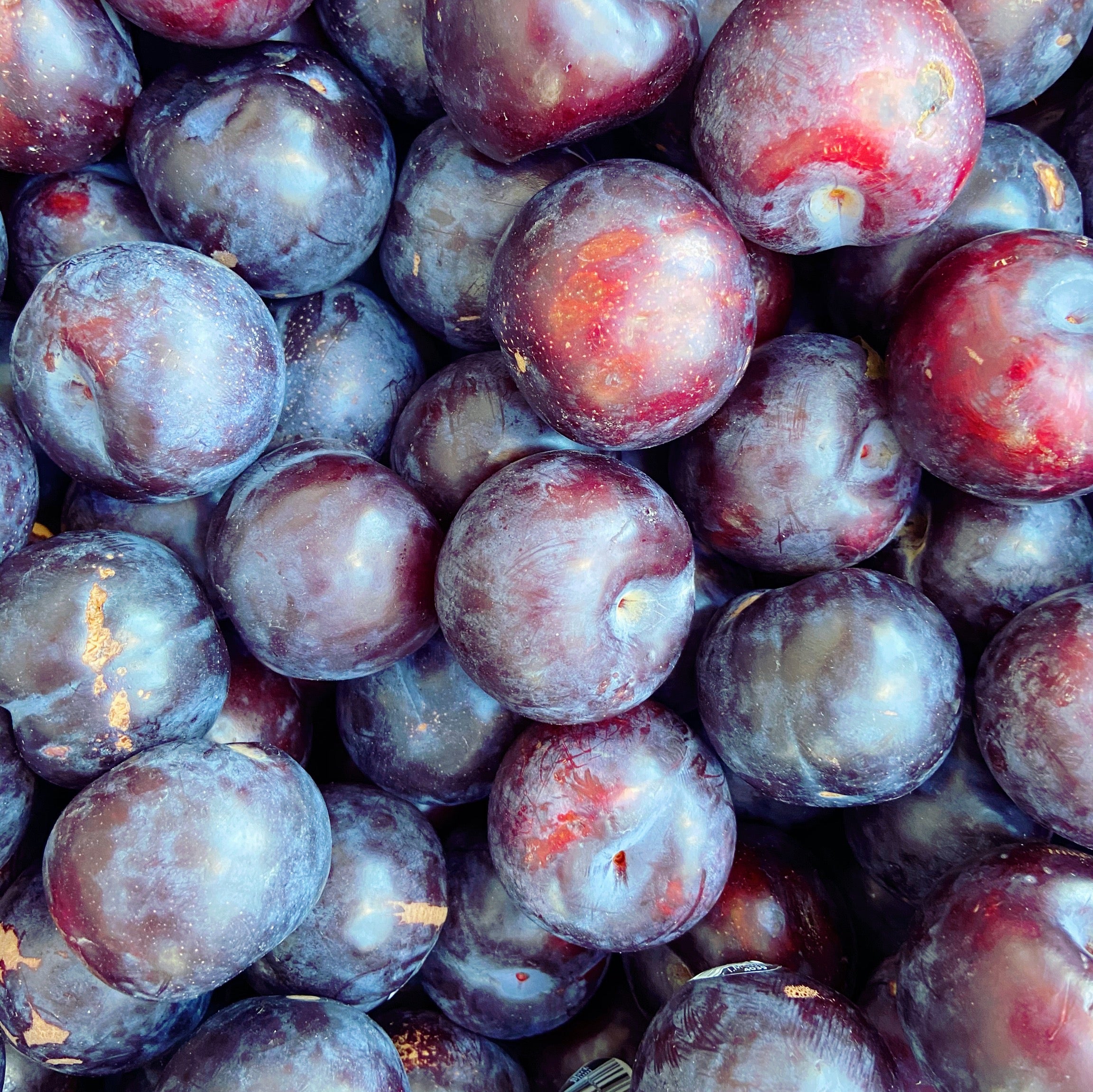 Plums - The Farm Shop Toowoomba