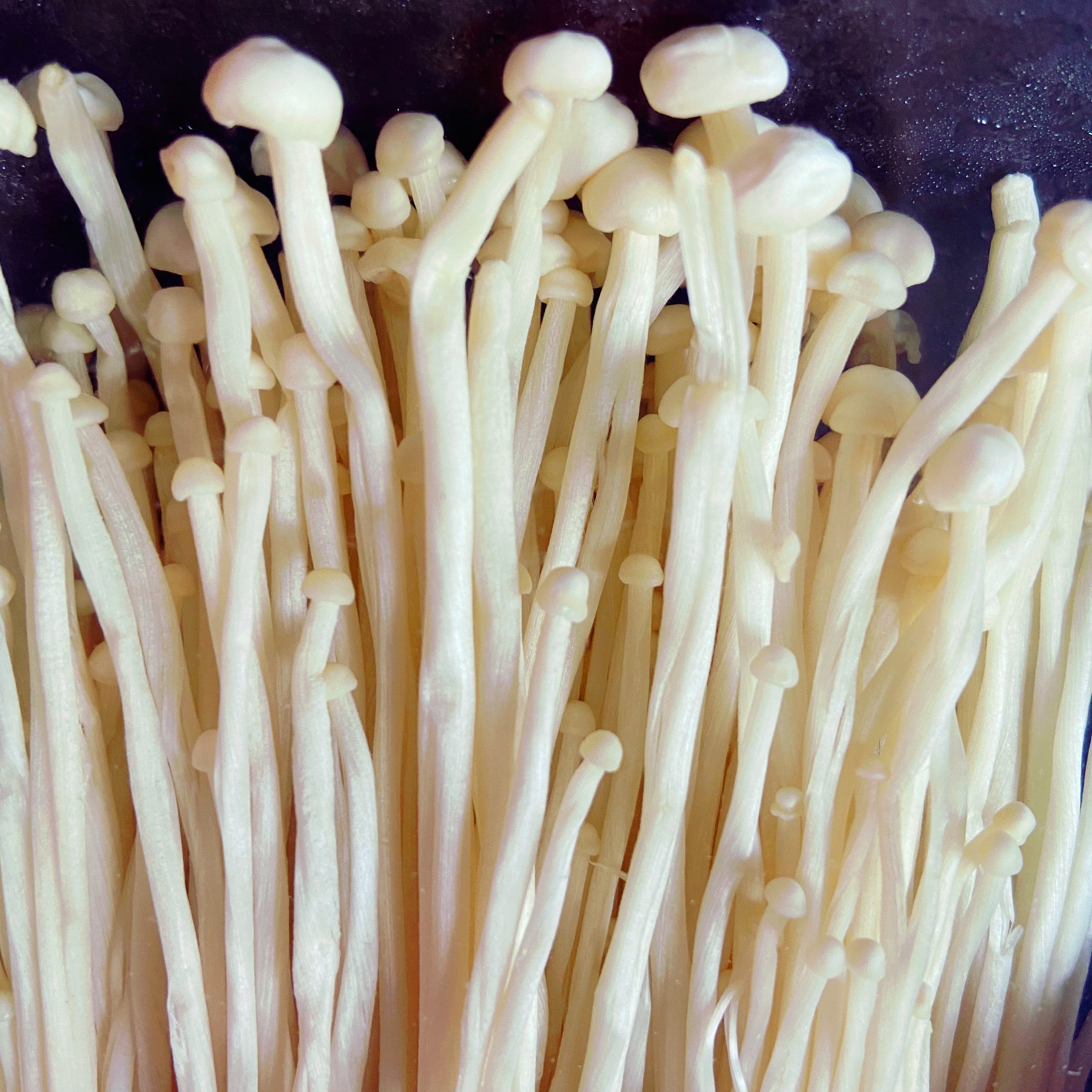 Enoki Mushroom 100g