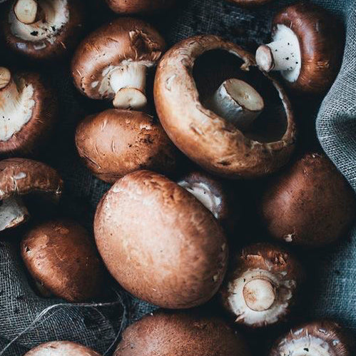 Shiitake Mushroom - 100g