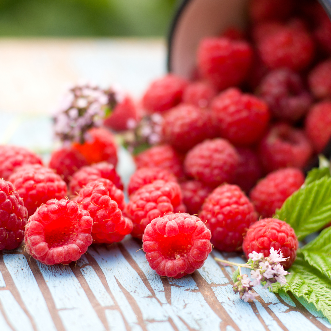 Raspberries - 125 grams Punnet