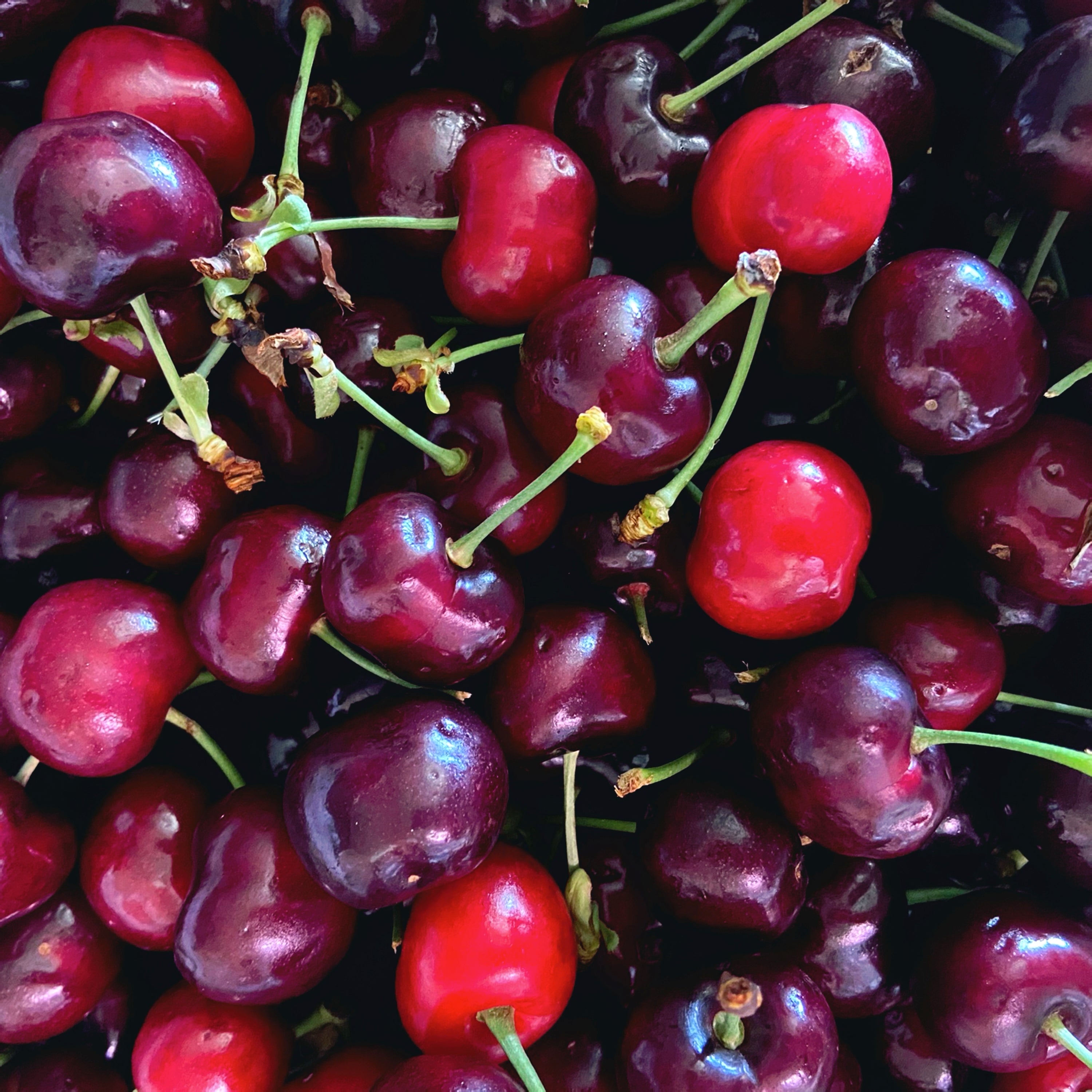 Cherry Punnet