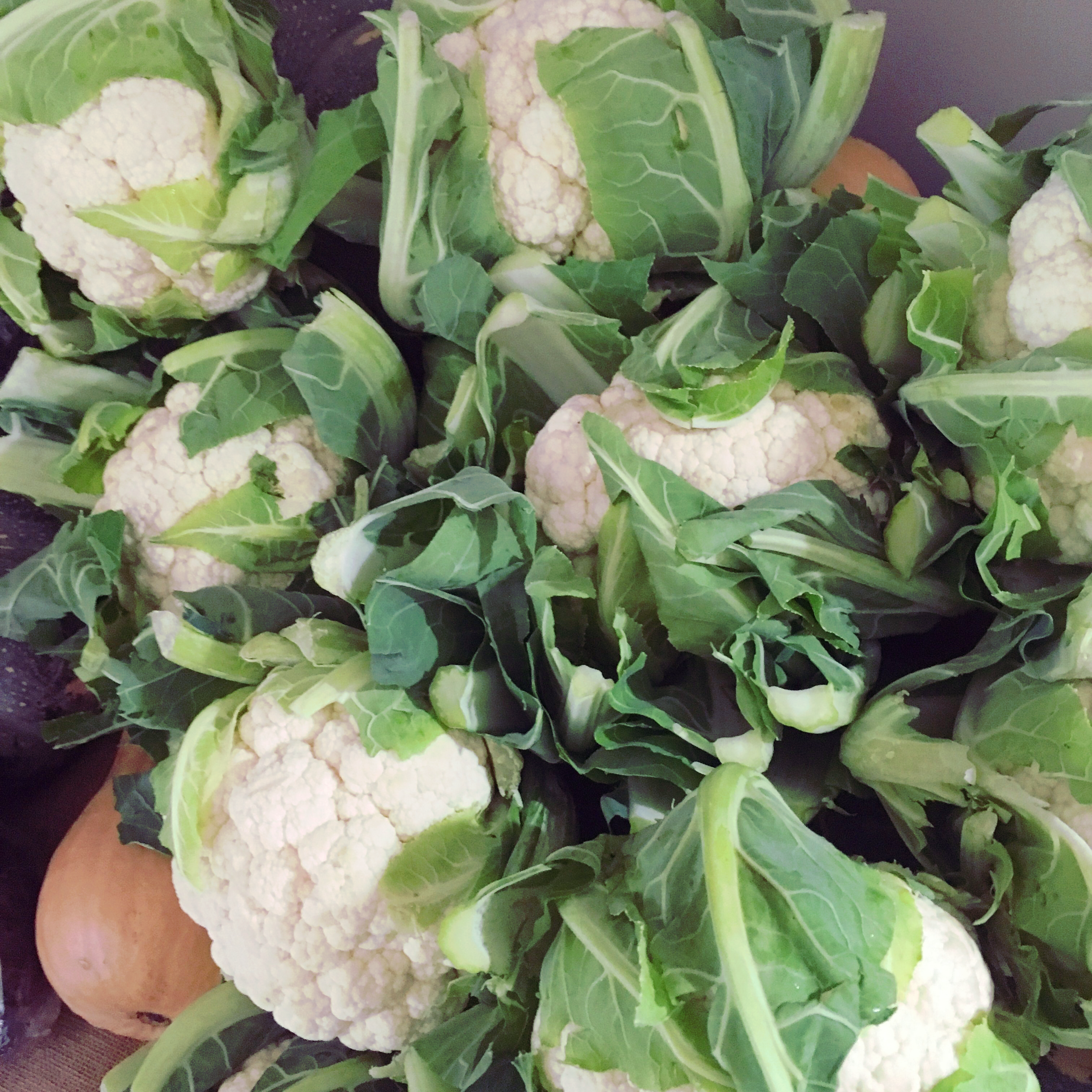 Cauliflower - The Farm Shop Toowoomba