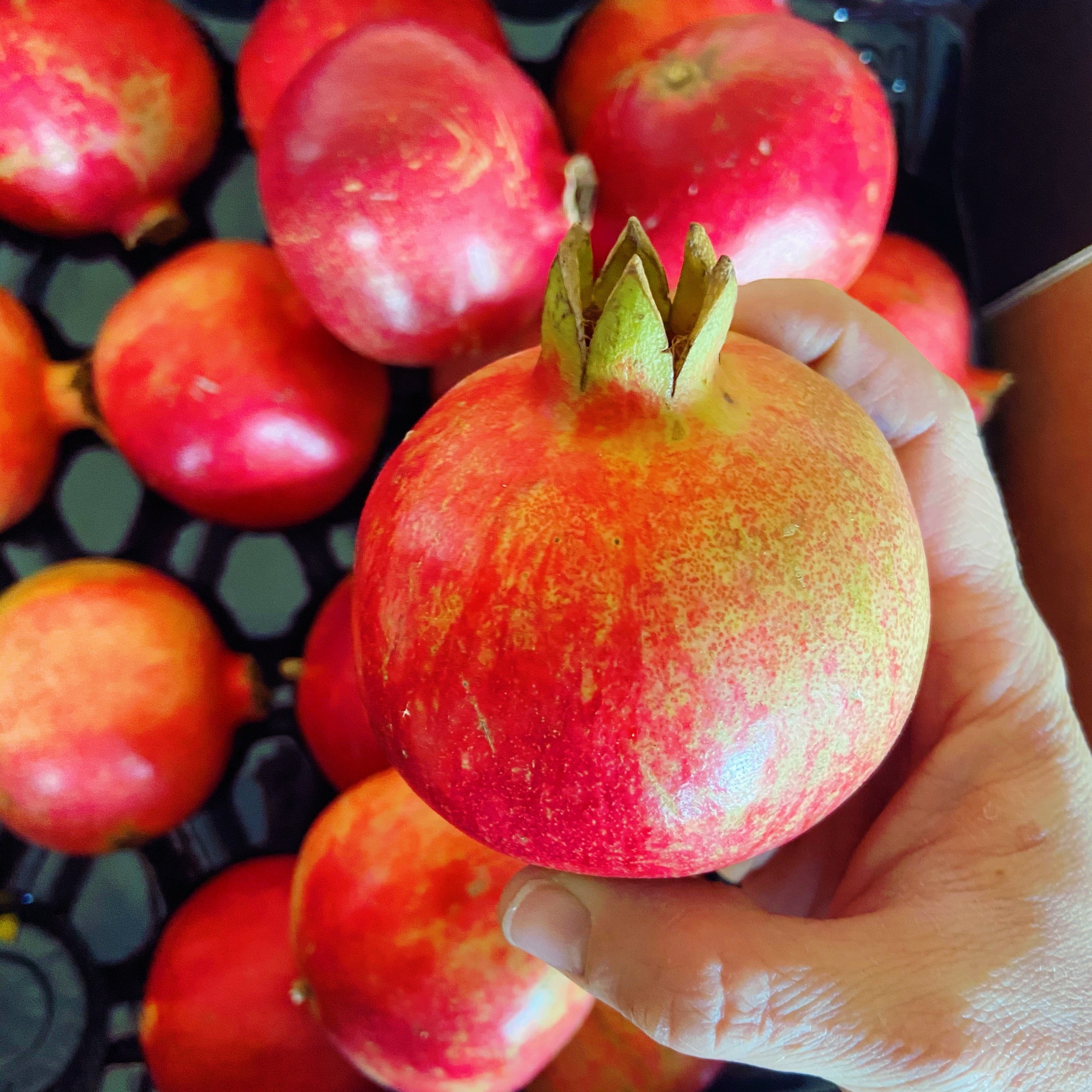 Pomegranate - The Farm Shop Toowoomba