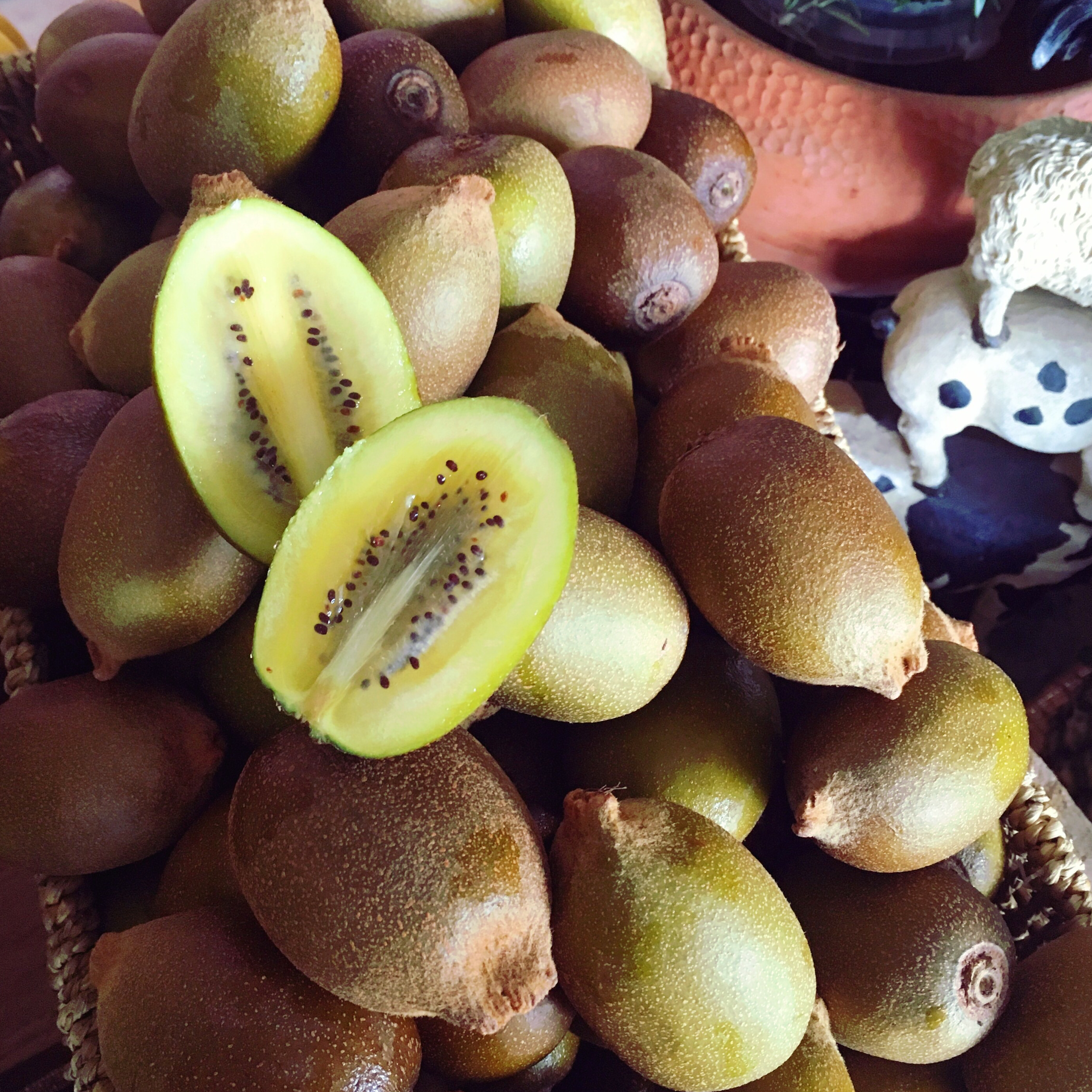 Kiwifruit - The Farm Shop Toowoomba