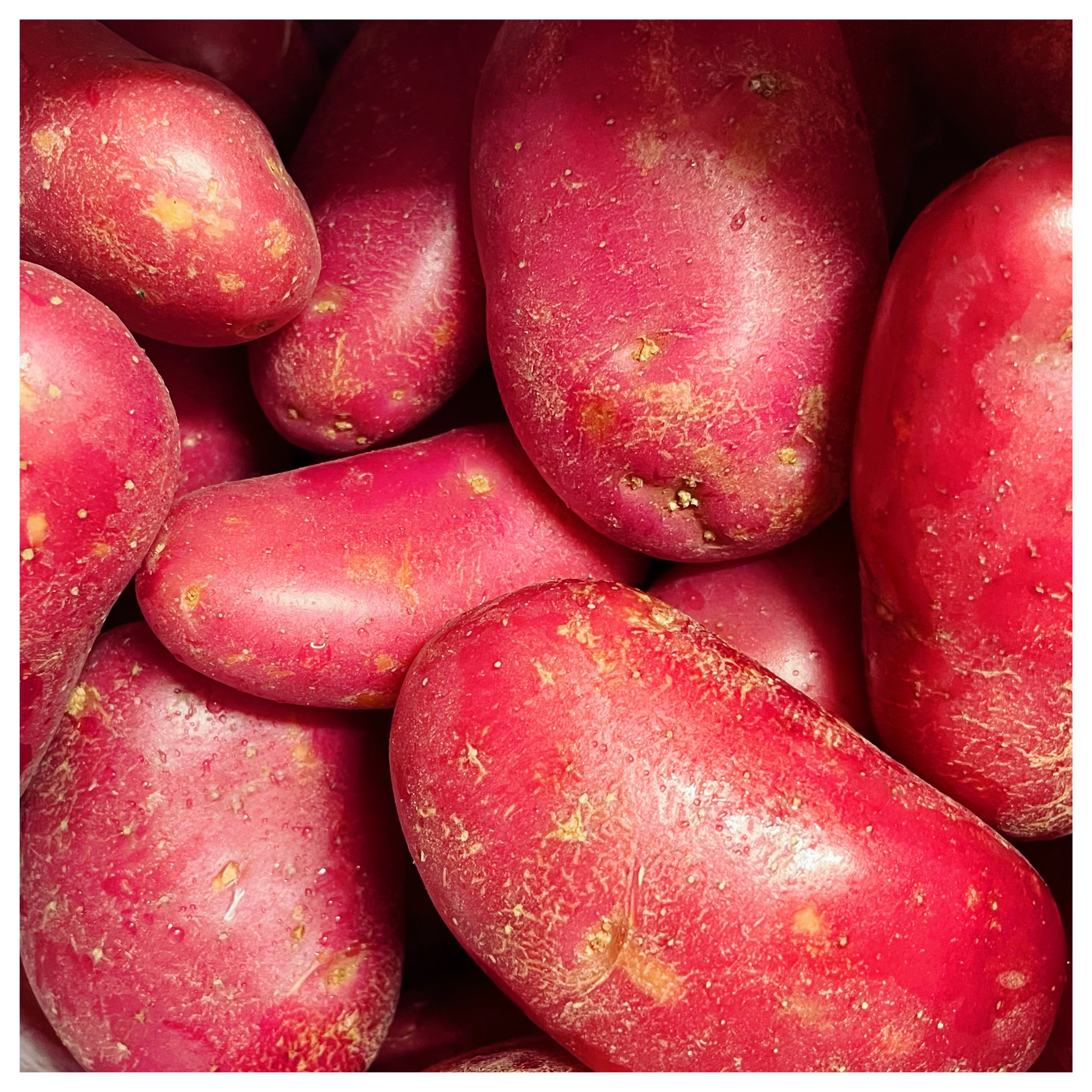 Potatoes - Red baby - 1 Kg