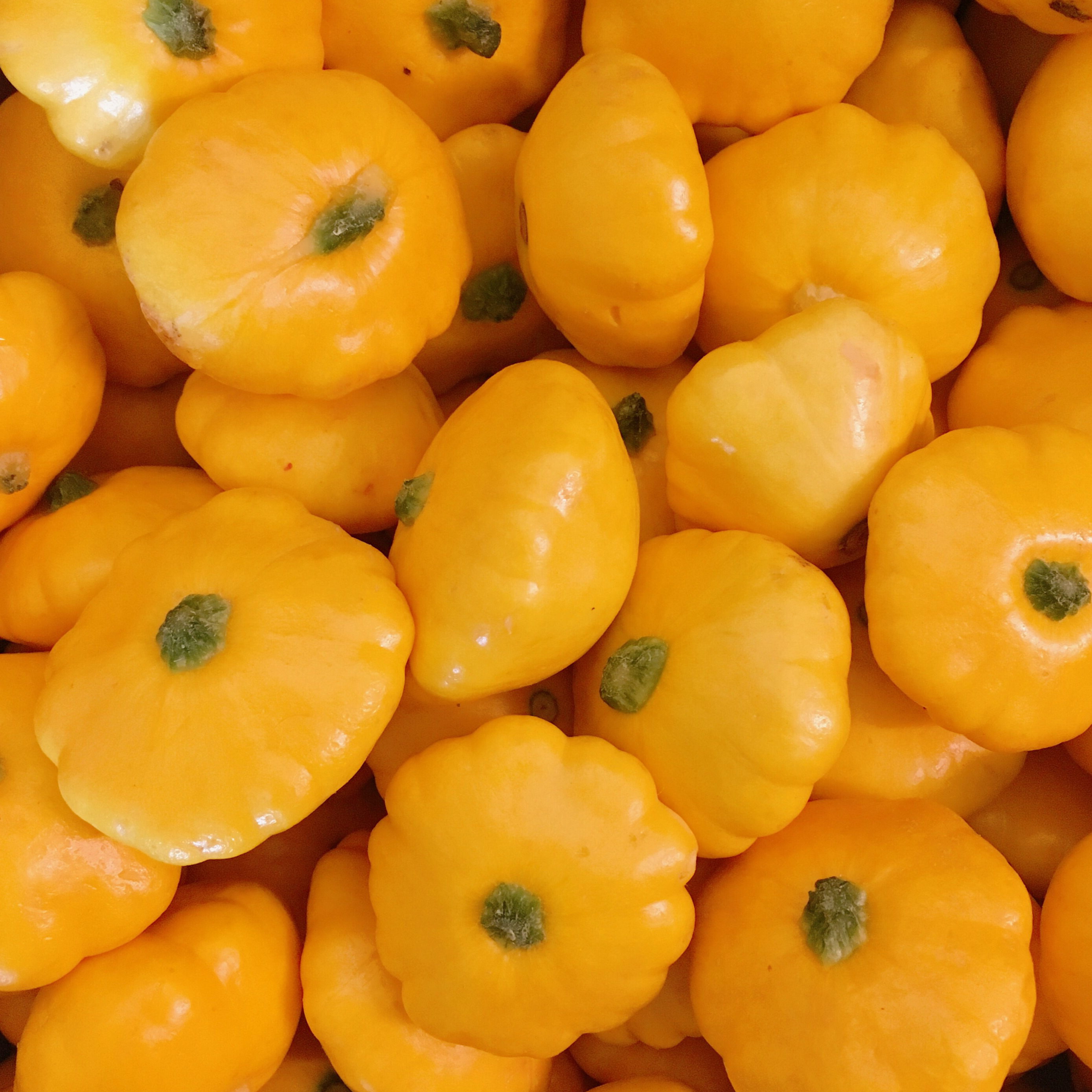 Squash - The Farm Shop Toowoomba