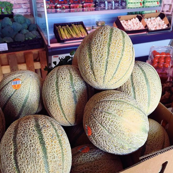 Rockmelon - The Farm Shop Toowoomba