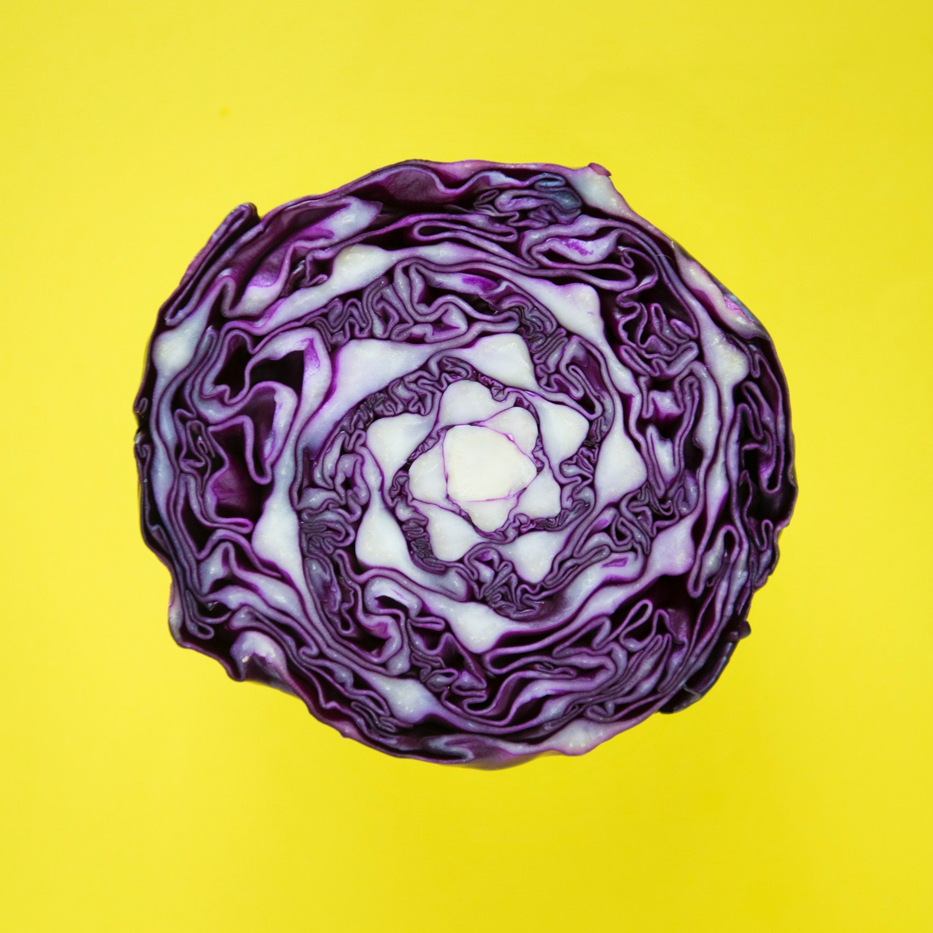 Red Cabbage - The Farm Shop Toowoomba