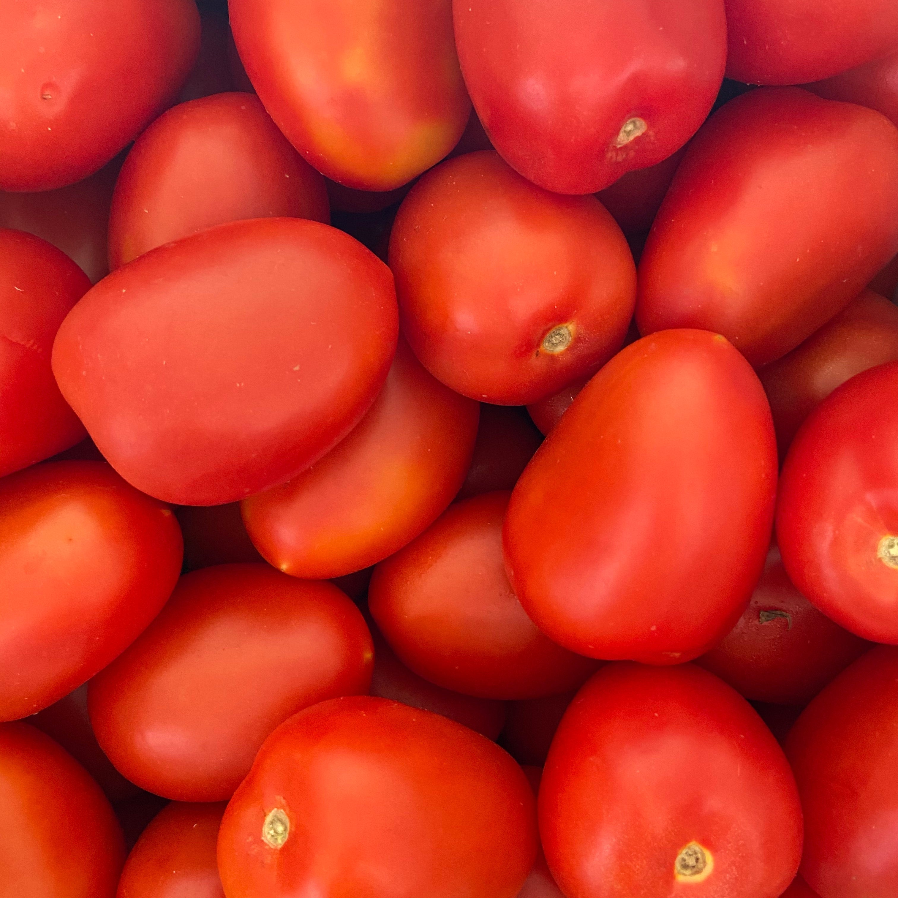 Wholesale Roma Tomatoes - Box