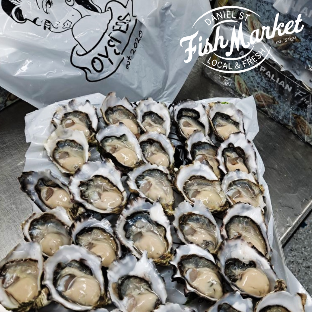 Daniel St Fish Market - Tasmanian Oysters 10 dozen (Frozen) Pre Order