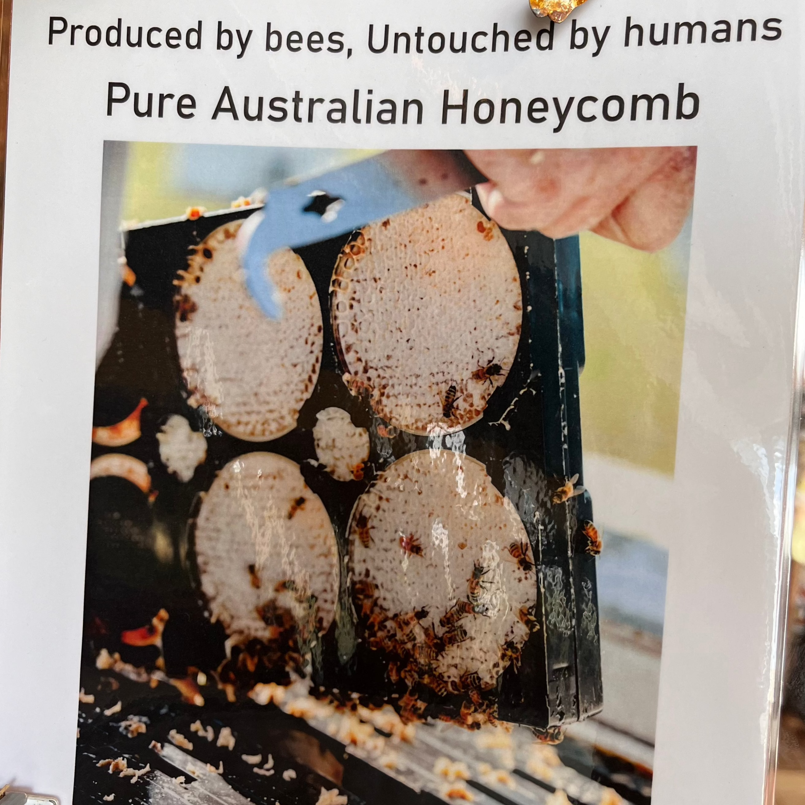 Bee Raw Honeycomb - 240g