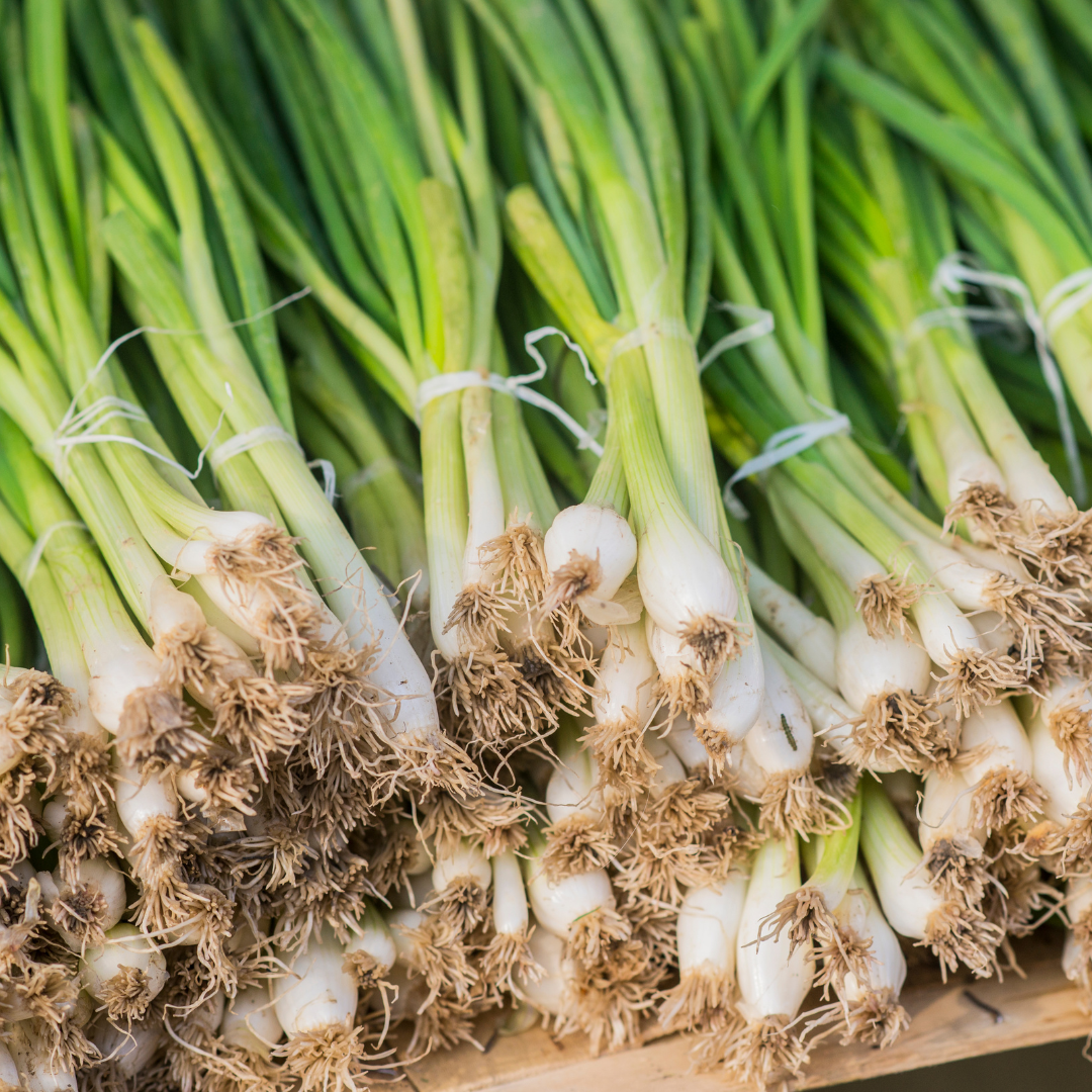 Spring Onions - Shallots - Bunch