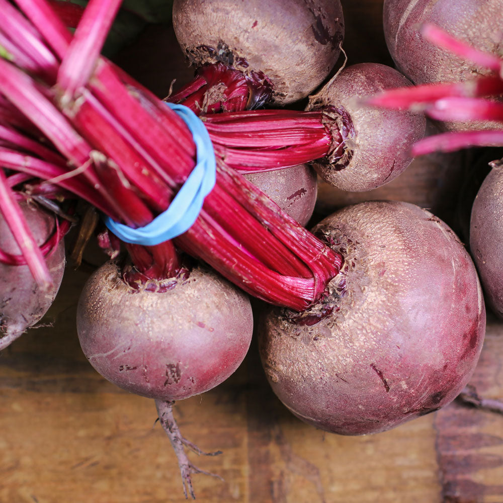 Wholesale Beetroot - bag