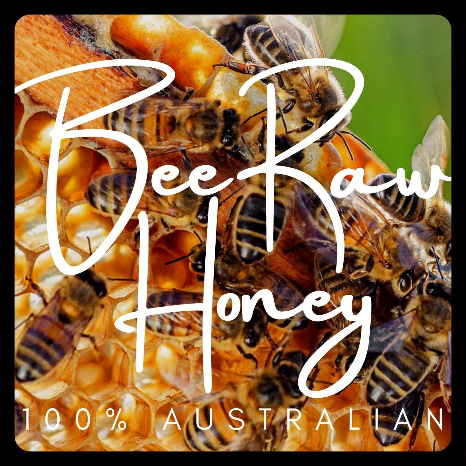 Bee Raw Honey - Stringy Bark
