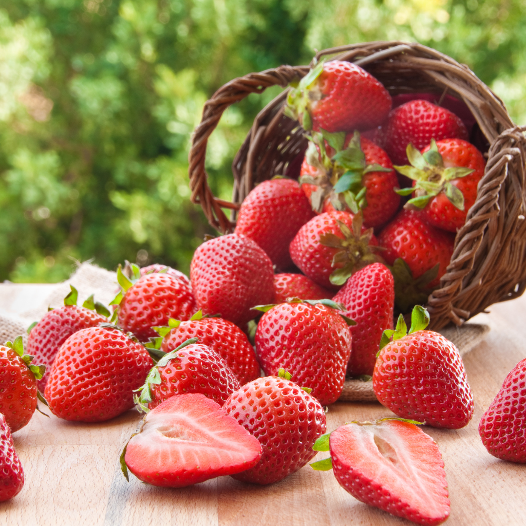 Wholesale Strawberries (1st grade premium) - Tray