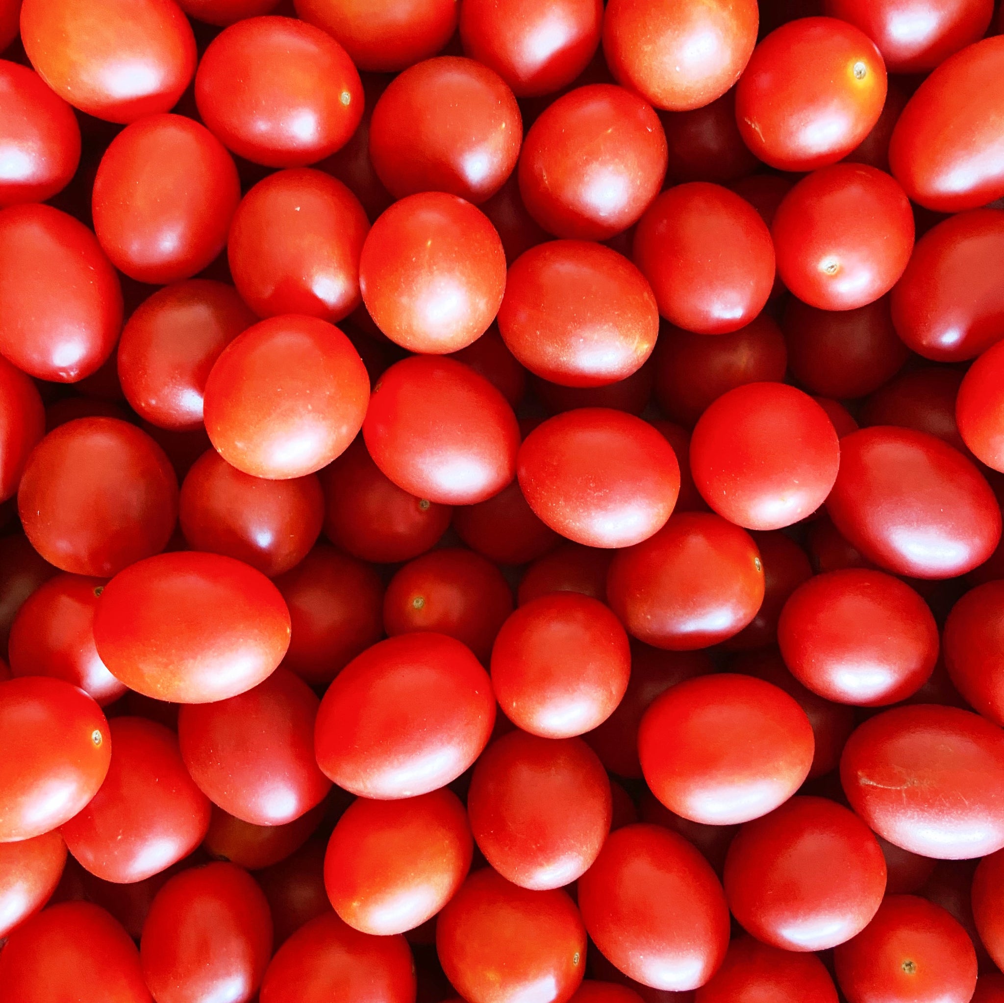 Grape (mini Roma) Tomatoes - 250grams