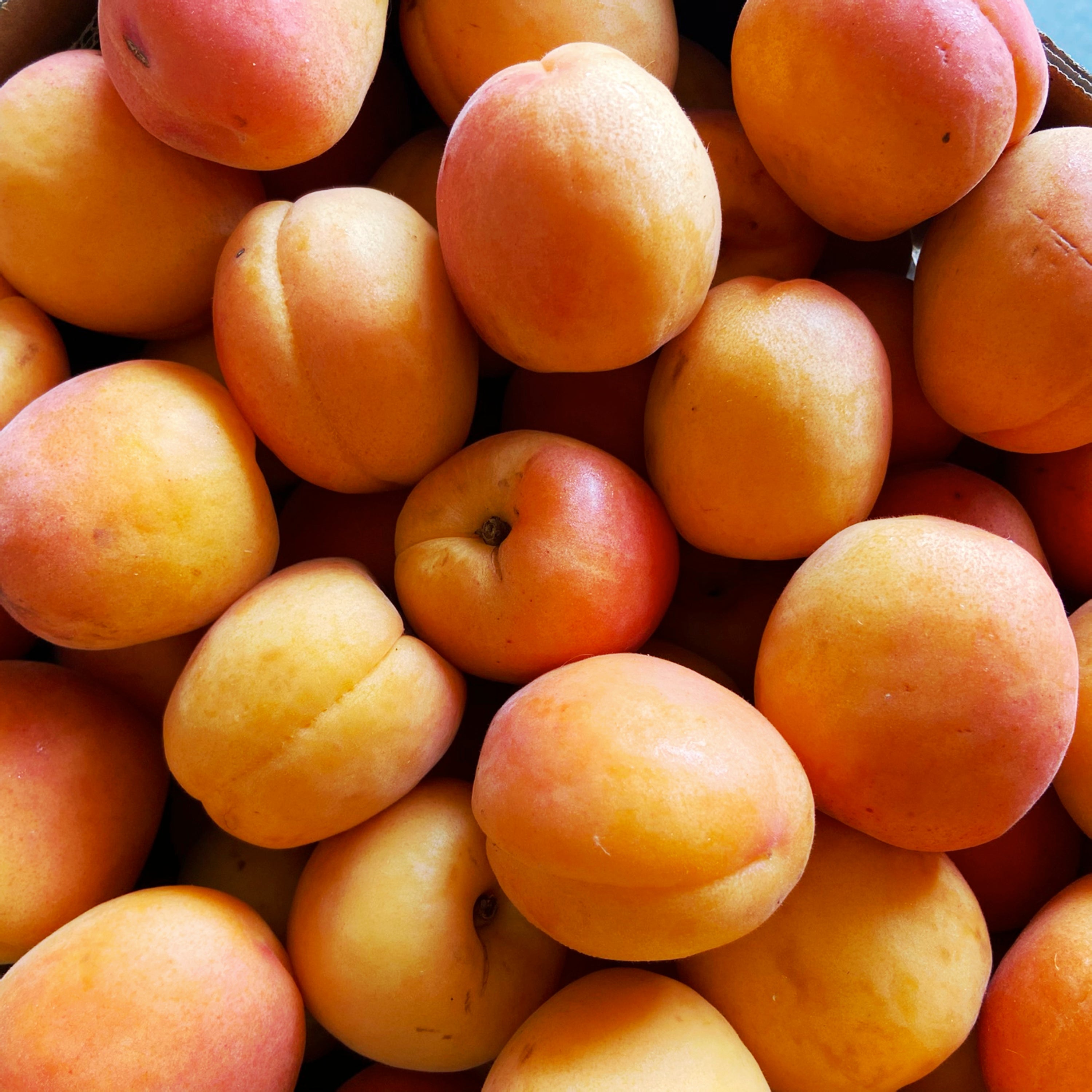 Apricots - 500 grams