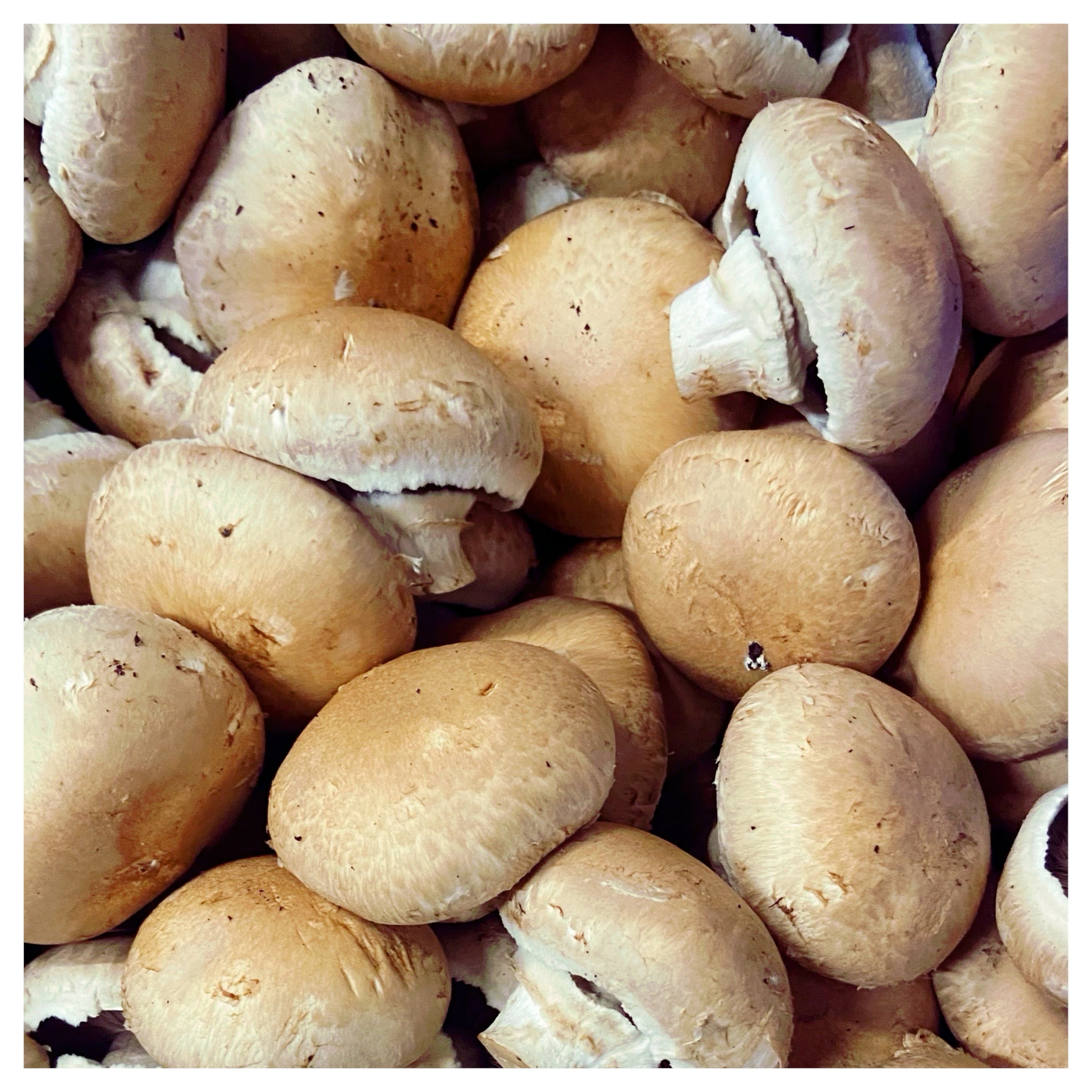 Swiss Brown Mushrooms - 500 Grams
