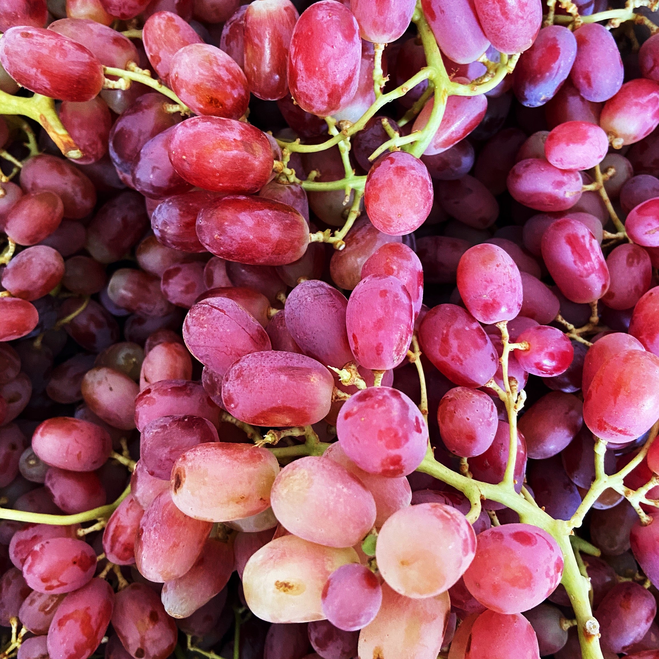 Red Grapes (seedless) - The Farm Shop Toowoomba