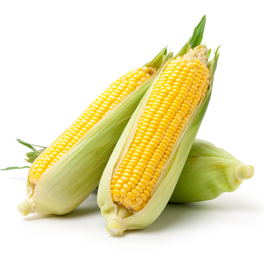 Corn - Each