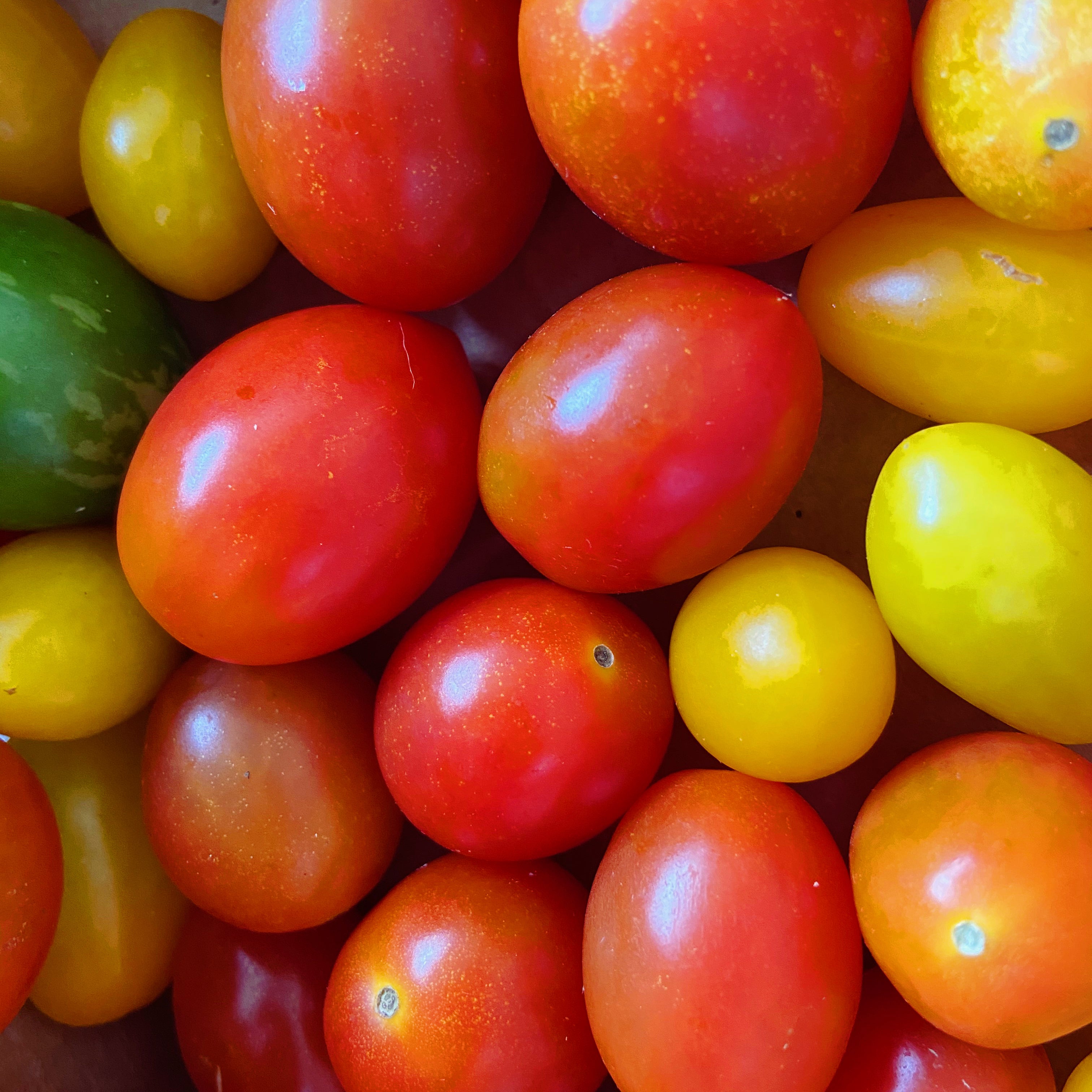 Medley Tomatoes - 200 grams
