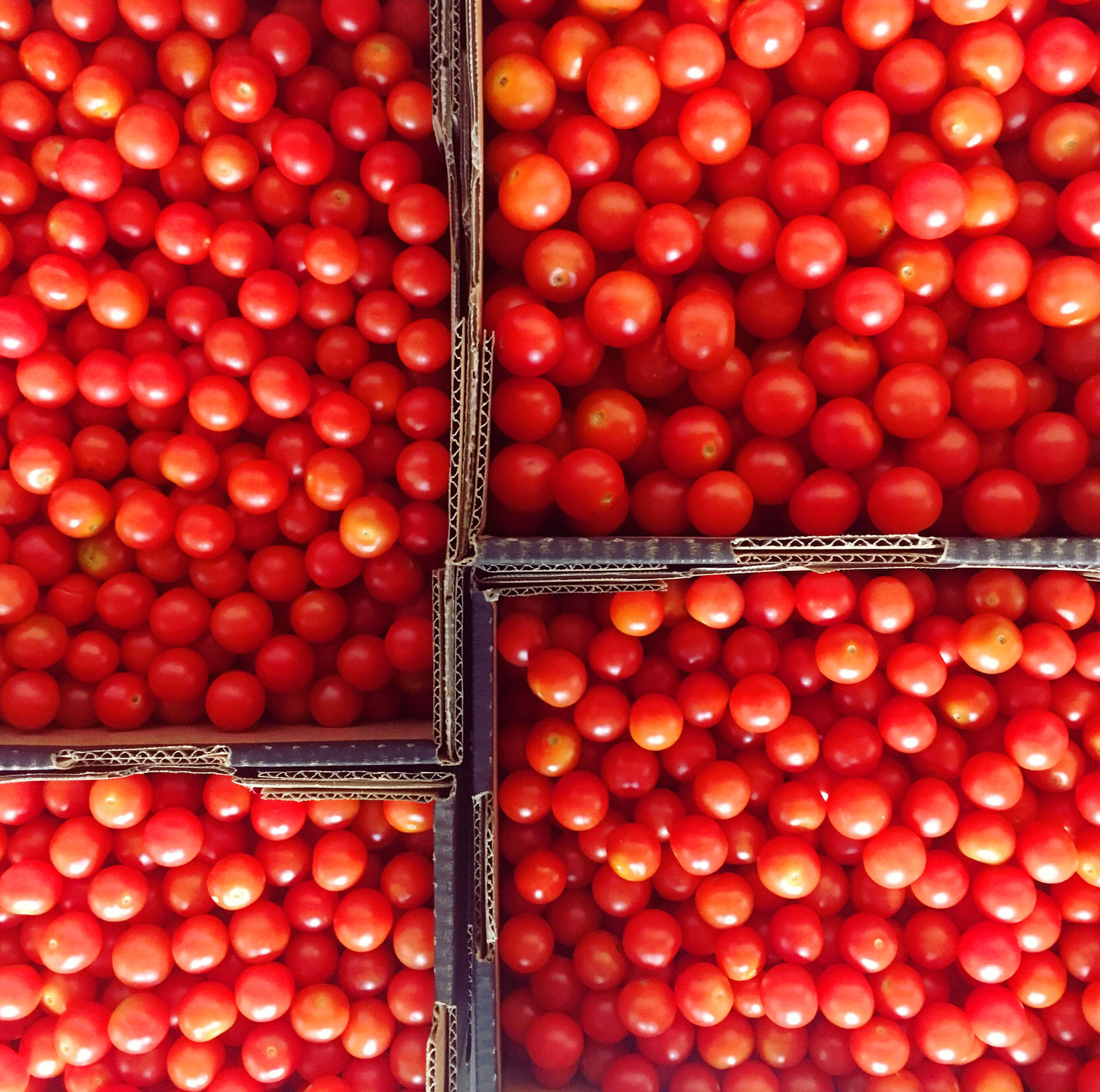 Cherry Tomatoes - The Farm Shop Toowoomba
