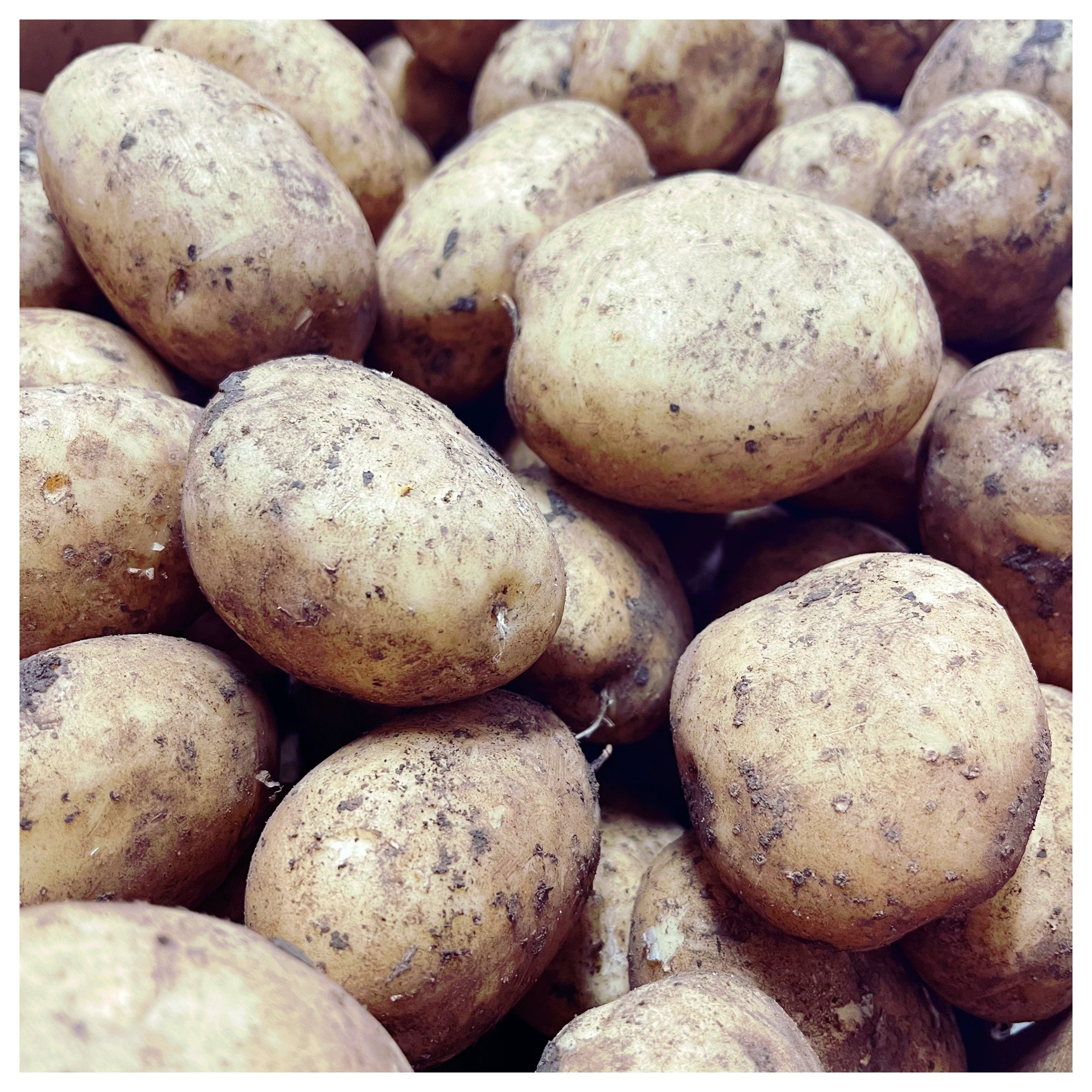 Potatoes - Organic Sebago - 1 Kg