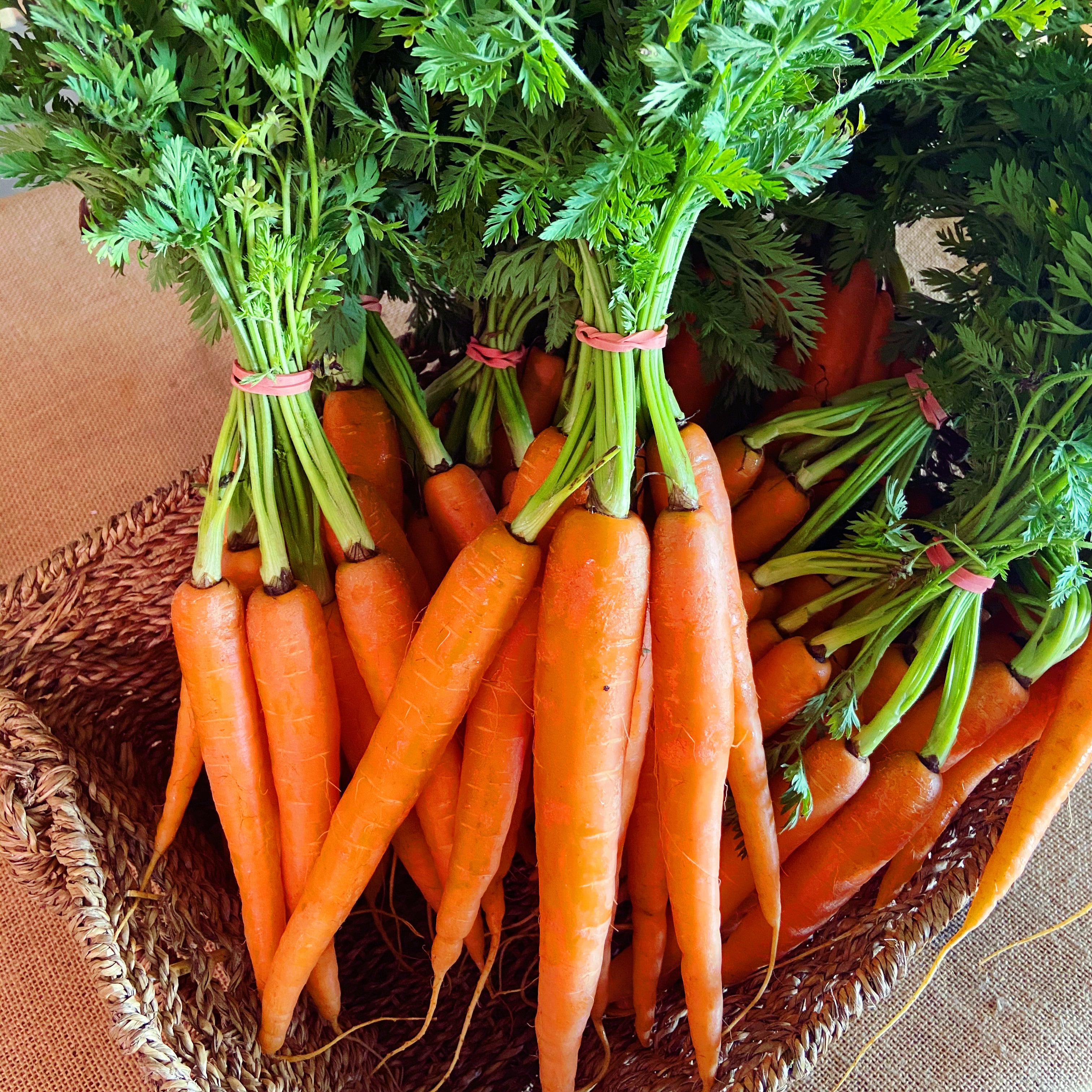 Baby Bunching Carrots