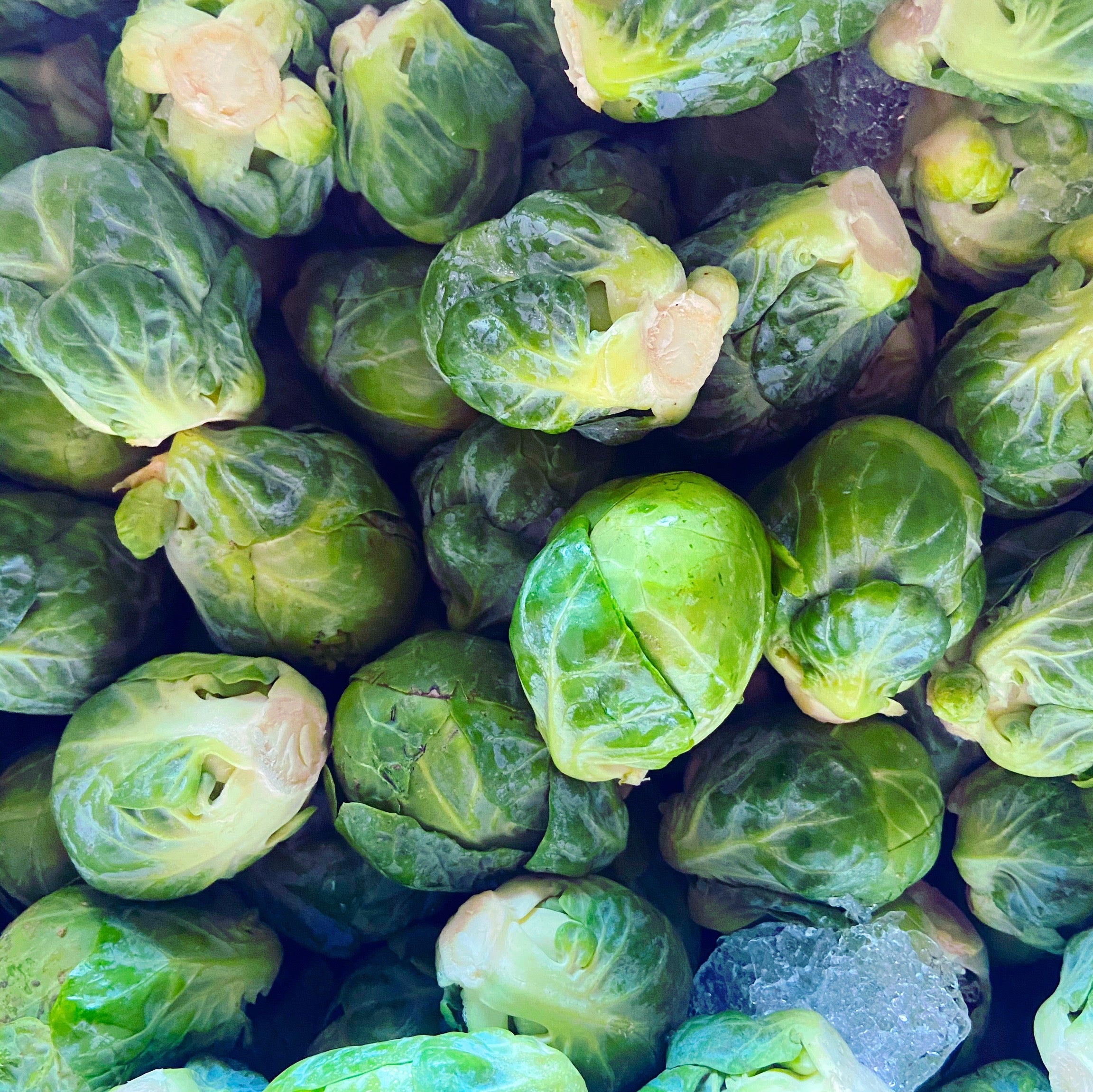 Brussel Sprouts - The Farm Shop Toowoomba
