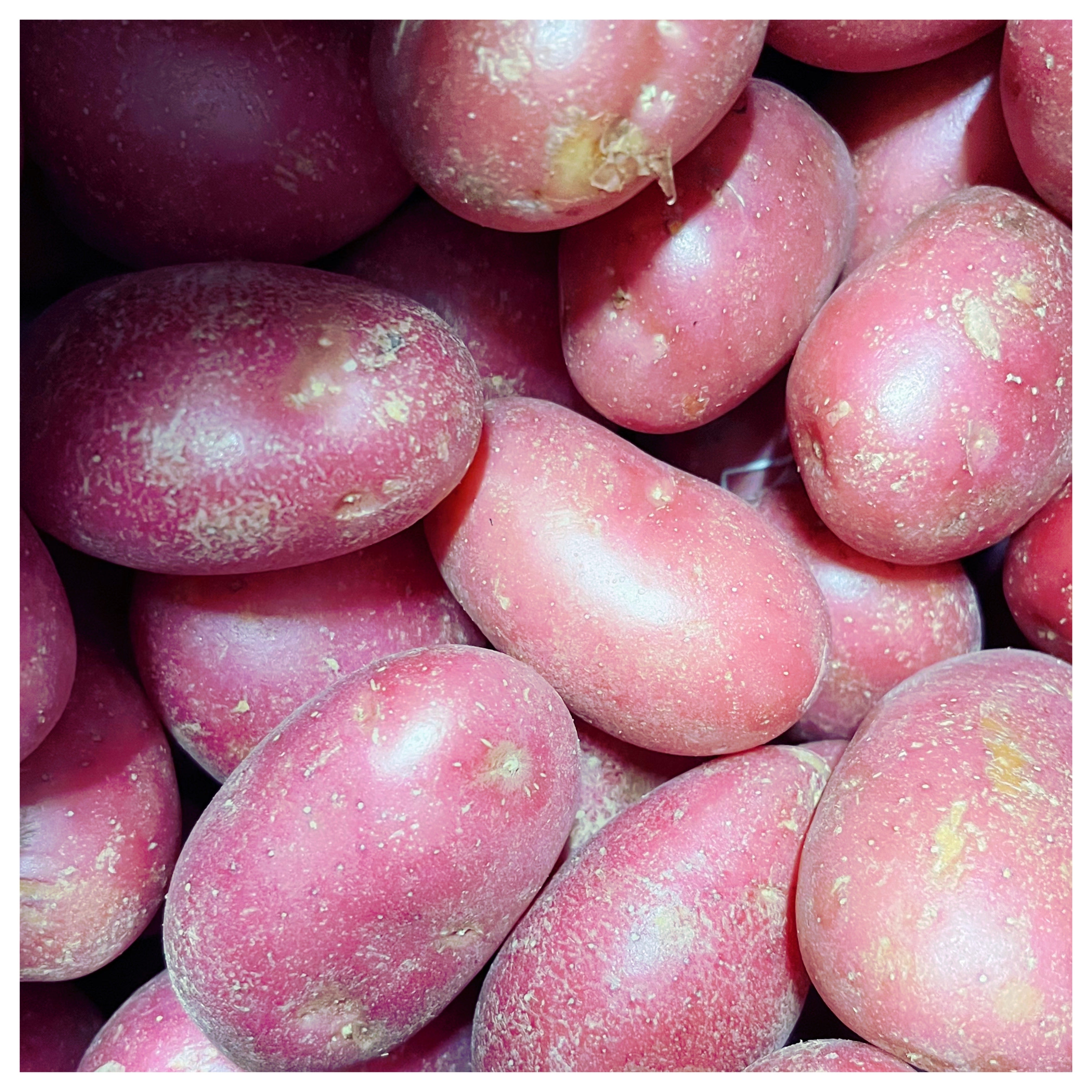 Potatoes - Red washed - 1 Kg
