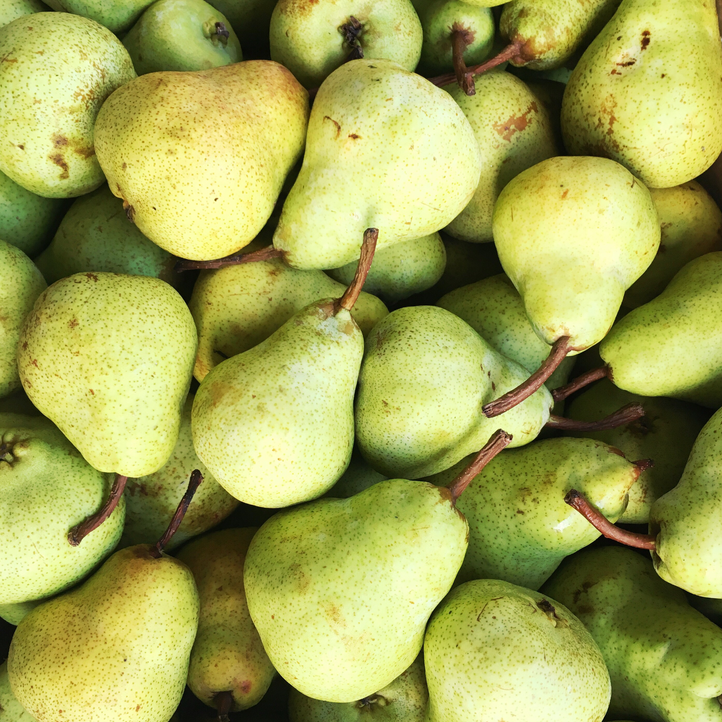 Pears - The Farm Shop Toowoomba