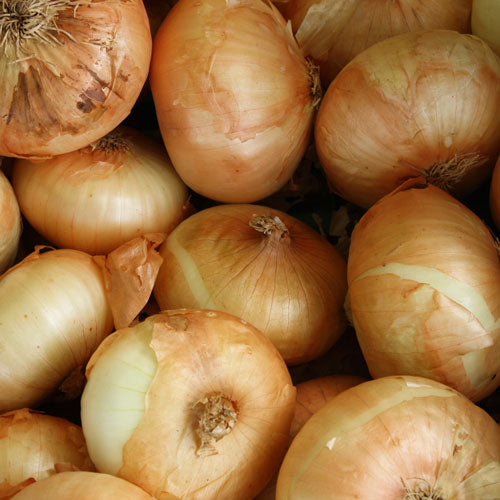 Brown Onions - 1Kg